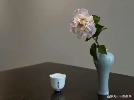 消之宝 消之宝